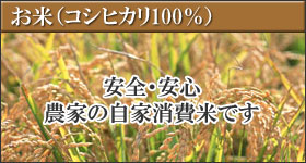 お米（コシヒカリ100％）